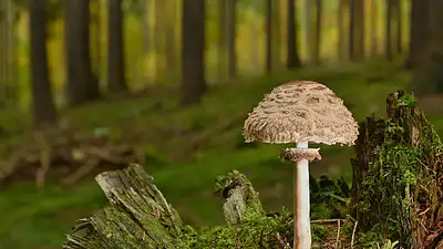 Kryptowaluty, NFT i Metawersum: Nowa Era Inwestycji 2025