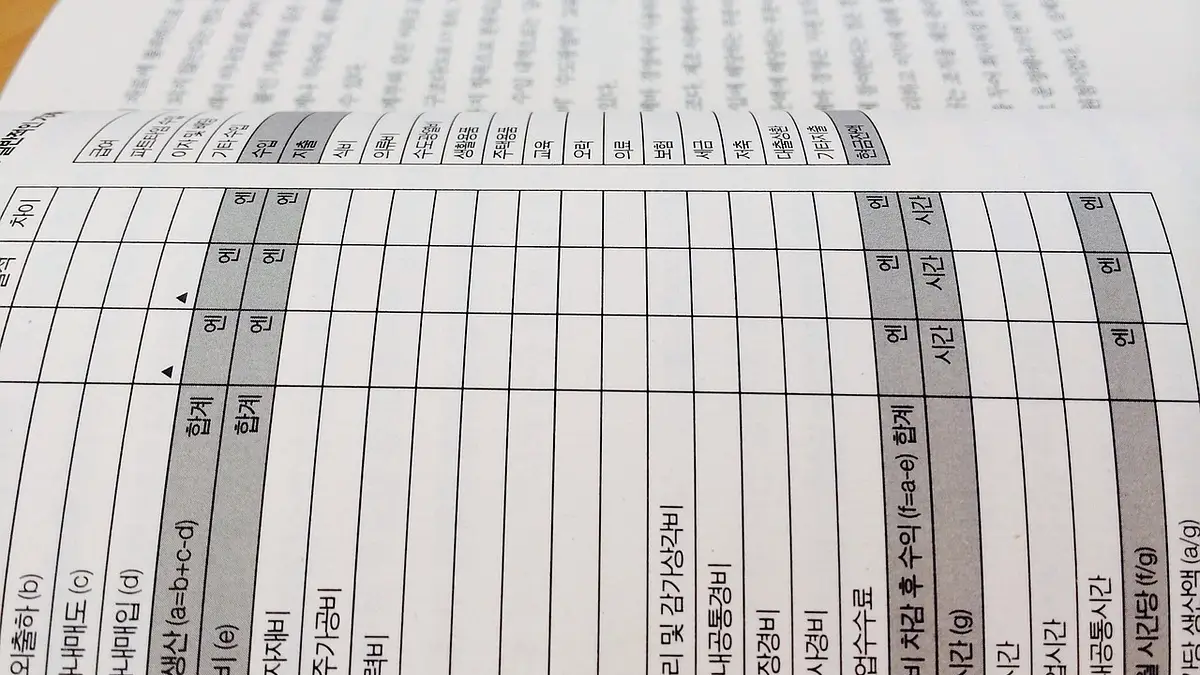 KPIR - co to jest i jak prowadzić Księgę Przychodów i Rozcho