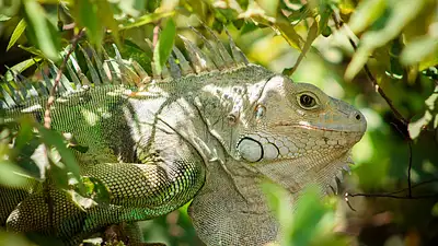 Ryzyko i rentowność inwestycji – jak znaleźć równowagę?