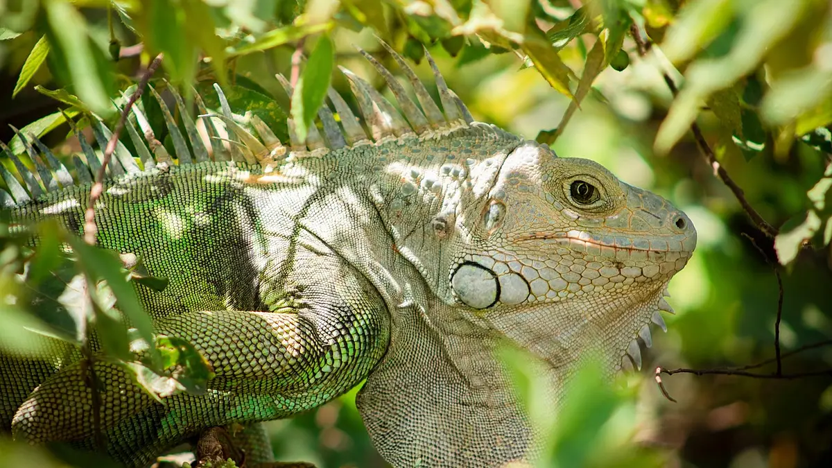 Ryzyko i rentowność inwestycji – jak znaleźć równowagę?