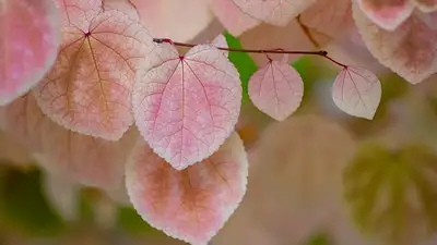 Faktoring online – szybki dostęp do gotówki dla firm