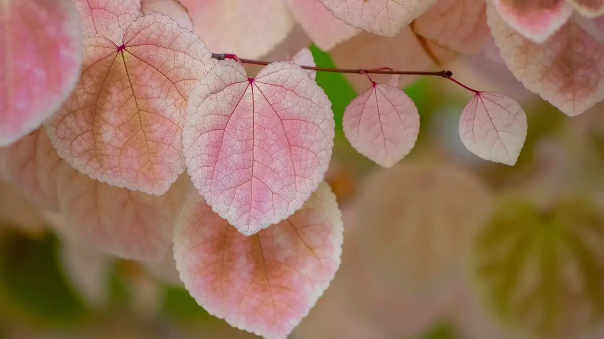 Faktoring online – szybki dostęp do gotówki dla firm