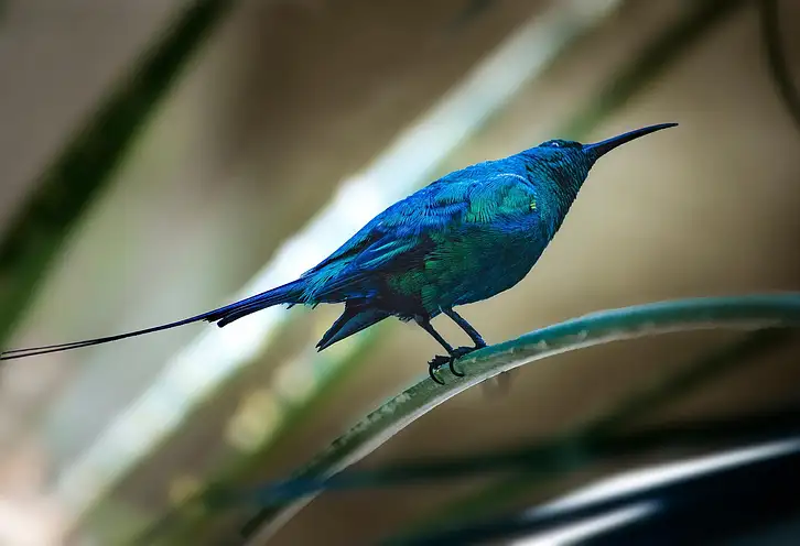 Faktura pro forma – kiedy wystawić i co zawiera?