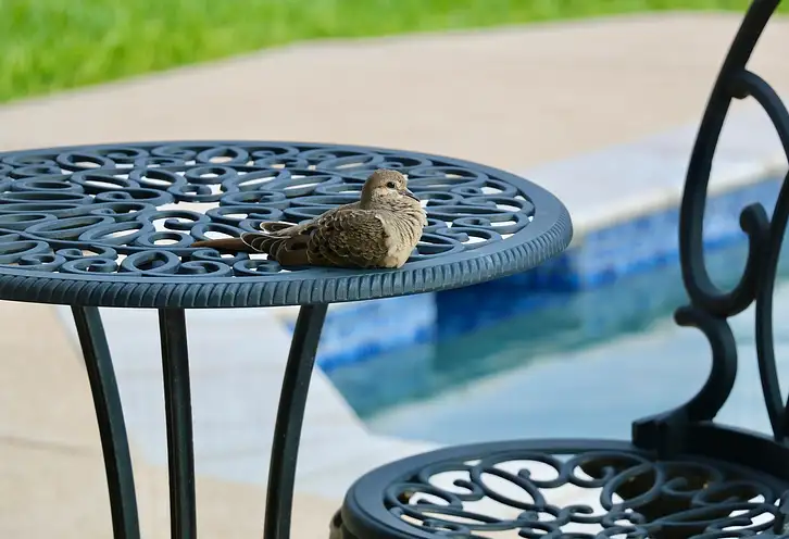 Wirtualne biuro - klucz do sukcesu firm