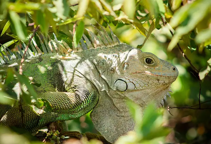 Ryzyko a rentowność inwestycji: złoty środek