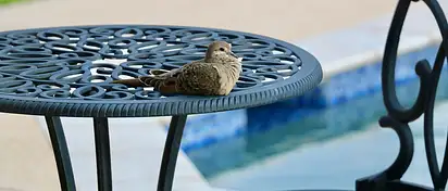 Przyszłość freelancingu: etaty do lamusa?