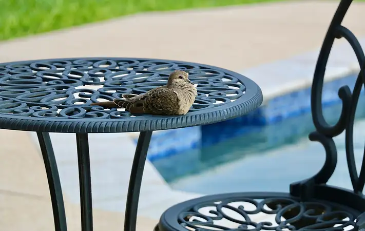 Przyszłość freelancingu: etaty do lamusa?