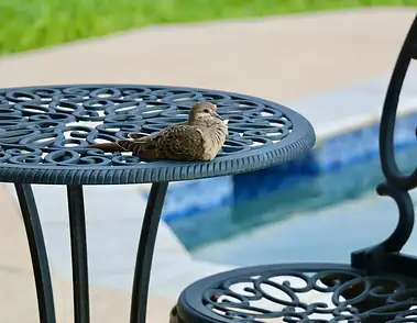 Przyszłość freelancingu: etaty do lamusa?